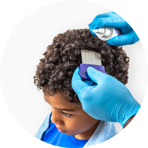 Removing lice from a boy's head