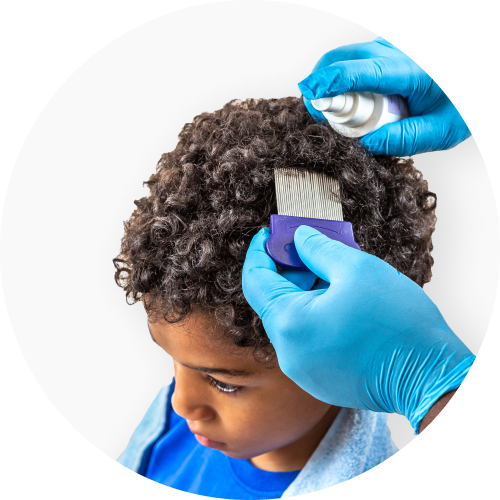 Removing lice from a boy's head