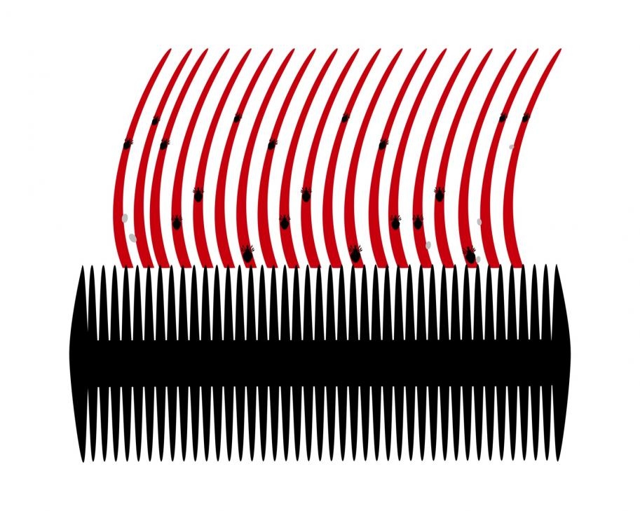 Anti-lice comb