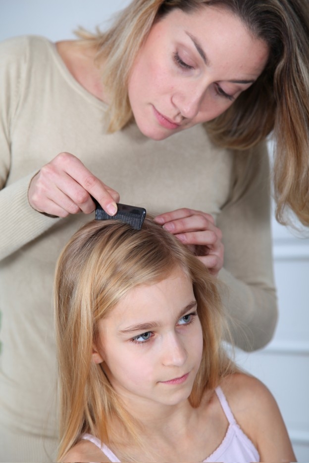 Mother removes lice from a daughter's head