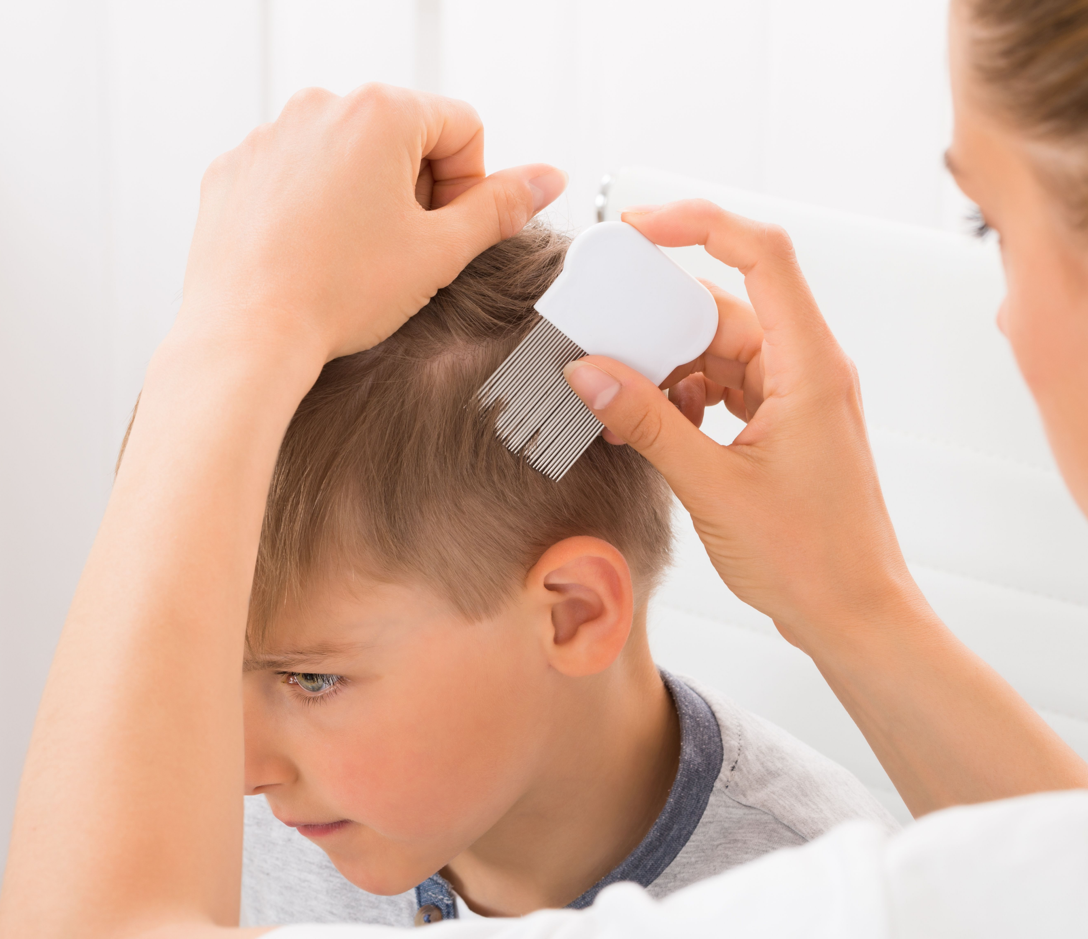 Removing lice from a boy's head