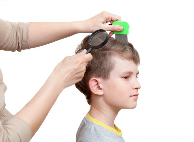Removing lice from a head