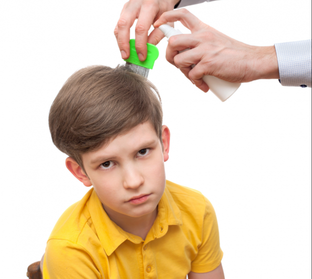 Boy has problem in school because he has lice