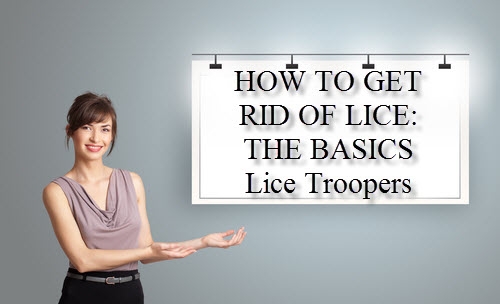 How to get rid of lice the basics Lice Tropers