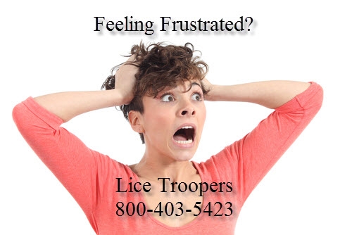 Feeling Frustrated? Lice Troopers 800-403-5423